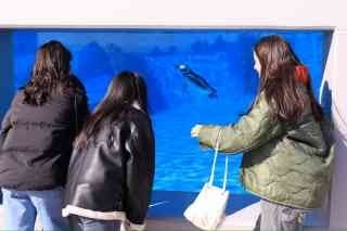 須磨シーワールド①