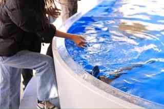 須磨シーワールド②